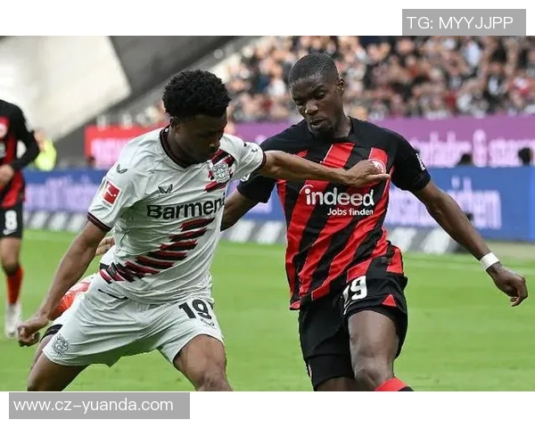 2015年澳大利亚与阿联酋激战回顾:足球盛宴中的精彩瞬间与历史意义