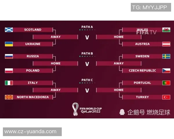 奥地利对阵巴西精彩赛事直播信息及观看指南