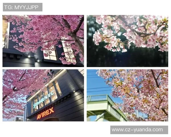 大阪樱花与名古屋层的精彩对决谁能笑到最后 大阪樱花与名古屋层的精彩对决谁能笑到最后