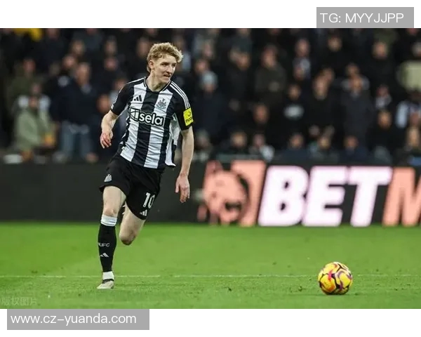 布伦特与布里斯对决前瞻分析及比赛结果预测详解