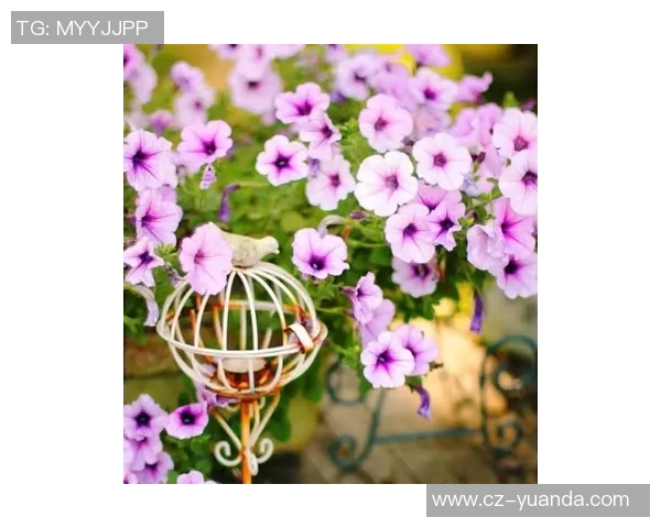 朱荣振的艺术之路与人生哲学探索:从创作到人生的深刻思考与启示 朱荣振的艺术之路与人生哲学探索:从创作到人生的深刻思考与启示