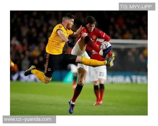 狼队与诺维奇激战正酣谁能在英超赛场上笑到最后