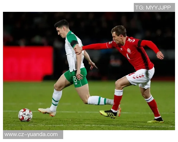 威尔士与爱尔兰精彩对决视频回顾分析及赛后亮点总结