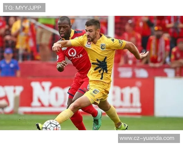 悉尼与惠灵顿凤凰的比赛结果揭晓了吗球迷们期待的精彩对决结束了吗