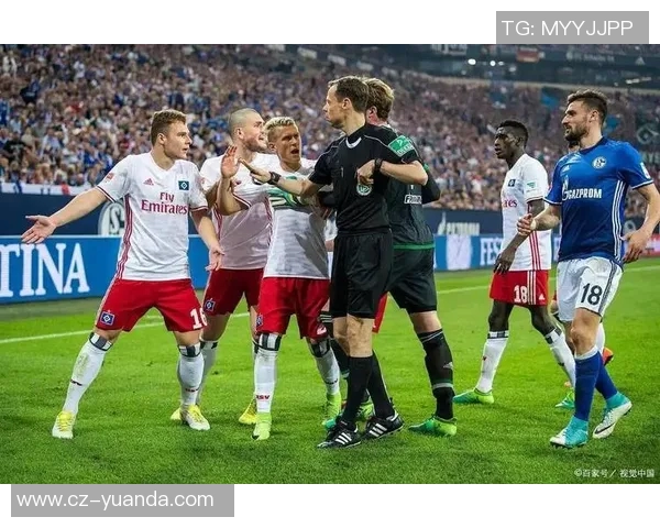 拜仁慕尼黑对阵汉堡精彩录播高清回放尽享足球盛宴