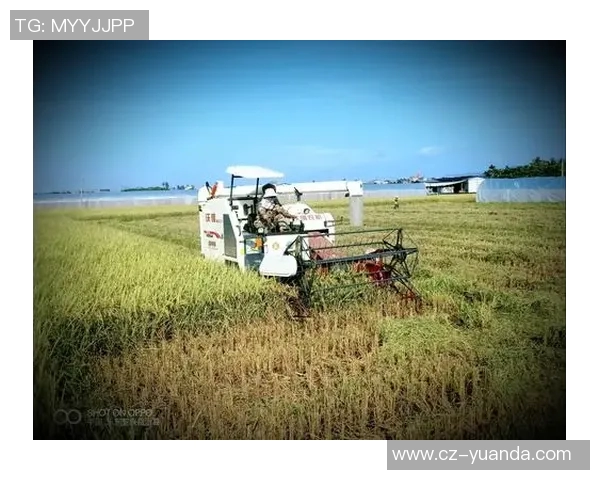 弗格的传奇人生与时代变迁的交织探讨 弗格的传奇人生与时代变迁的交织探讨