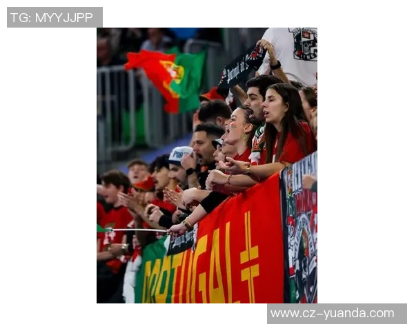 新西兰足球队迎战葡萄牙队精彩对决引发全球关注