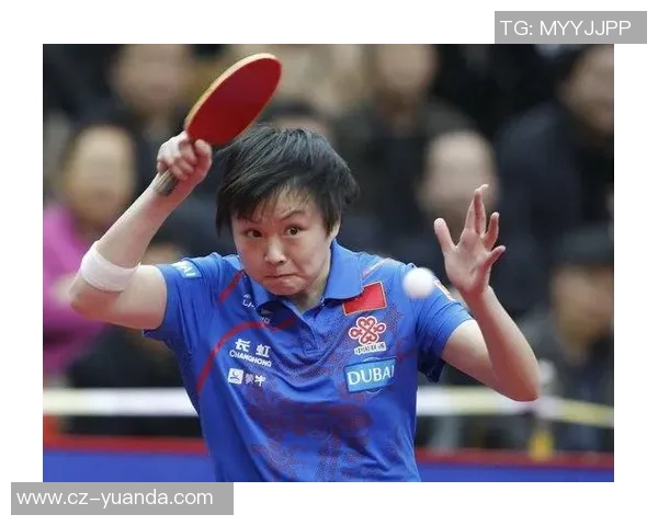 丁宁与胡丽梅巅峰对决乒乓球赛场上的精彩瞬间与技术较量