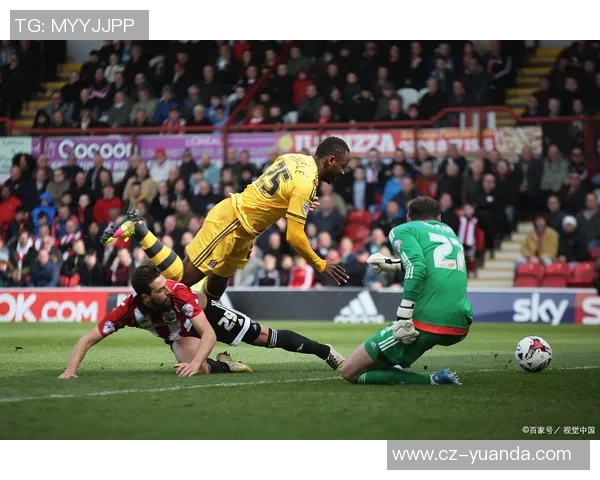 威灵顿凤凰主场迎战悉尼足球队争夺胜利的精彩对决即将上演