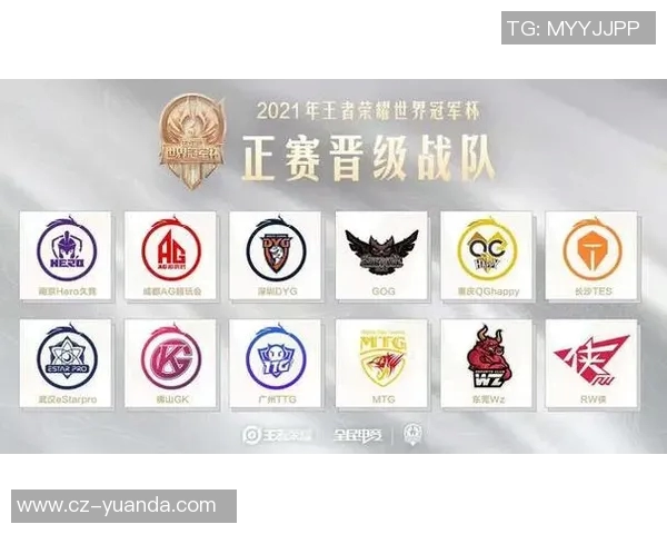 TES在冠军杯中的团队协作表现分析与战术探讨